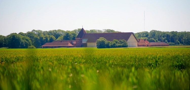 landbrug